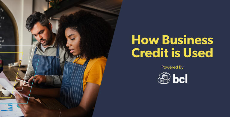 How Business Credit is Used