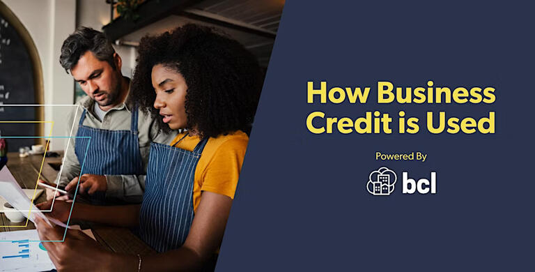 How Business Credit is Used